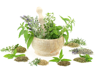 植物抽出物の組成物